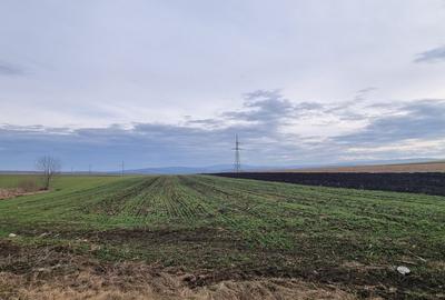 Teren Zaicesti la strada Botosani-Iasi - 3