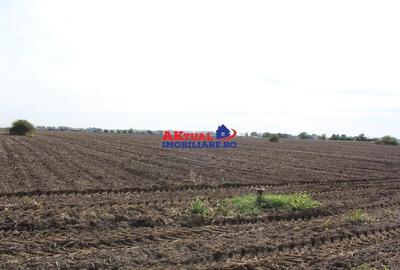 Teren de vanzare Balotesti -16.300mp-Stradal -Residentiale sau Comercial-cu toat - 5