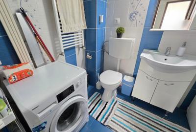 2 camere Aleea Mizil bloc 2017 etaj 2/3 centrala proprie si loc parcare - 13