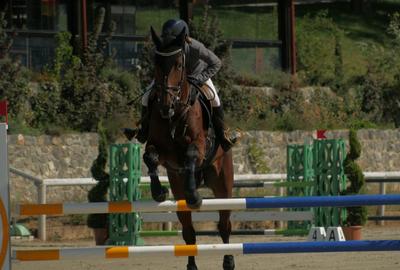 Domeniul Herneacova - 19