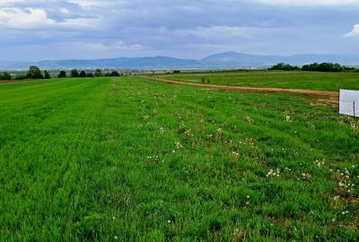 Parcele intravilan (590mp) cu PUZ, Panoramă frumoasă, 5 km de la Sfântu Gheorghe - 2