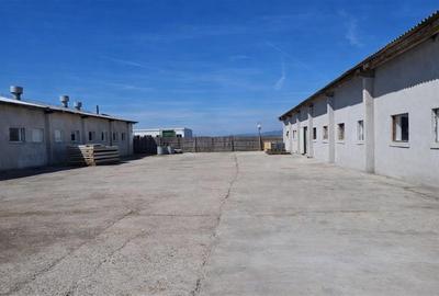 Hala industriala versatila,spatii cazare, platforma betonata,2.300 mp,Halchiu - 5