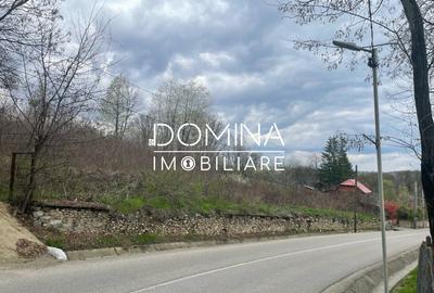 Vanzare teren intravilan - Runcu - oportunitate intr-o zona turistica deosebita - 5