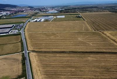 Teren intravilan cu destinatie industriala- 29 hectare - 2