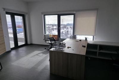 Inchiriere depozit/hala/spatiu industrial Chitila - Centura - soseaua Rudeni, IL - 27