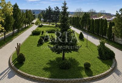 VANZARE VILA | HALA IN VLADICEASCA | SNAGOV | 10.500 MP TEREN - 5
