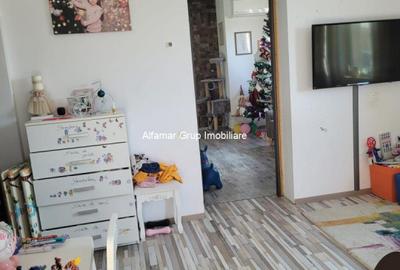 Vanzare proprietate cu 2 case Zurbaua- Dragomiresti Vale - 6