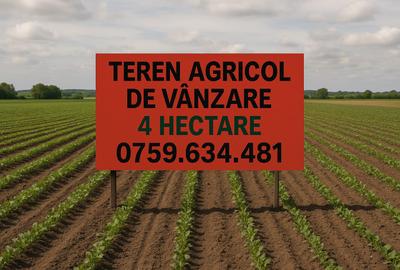 TEREN AGRICOL DE VÂNZARE – 4 HECTARE, TULCEA (SATU NOU) - 1