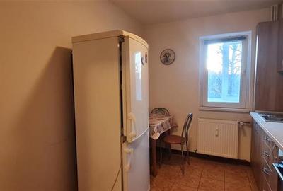 APARTAMENT 2 CAMERE ROMANILOR 66 MP - 10
