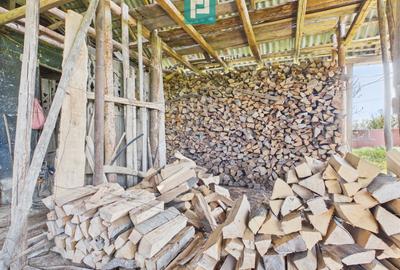 Casă solidă cu 5 camere in localitatea Almaș, Arad - 23