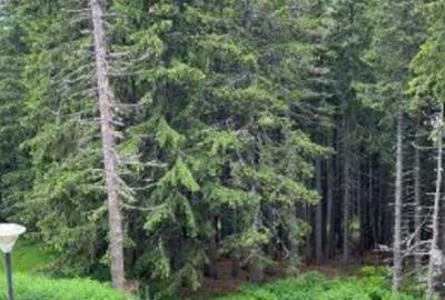 Investitie turistica de top! Fostul hotel OTTO-Perla statiunii RANCA - 4