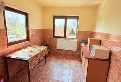 Vand casa in Paleu, Jud Bihor! 3 camere, living mare, garaj dublu. Teren 711 mp. - 8