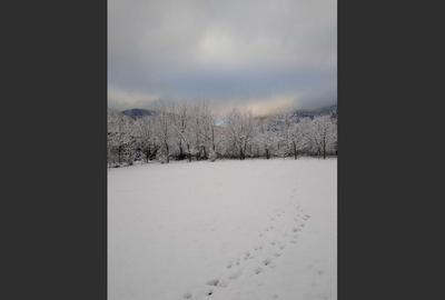 House for sale, 5 Rooms, 180 sqm, Valea Dejani - 10