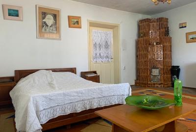 Potențial pensiune / investiție / casa de vacanță - 11