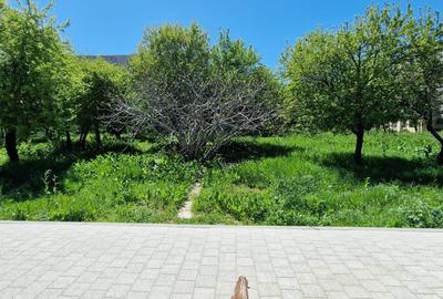Teren ideal dezvoltare imobiliara. - 4