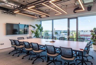 Birouri premium in Sibiu–Spatii flexibile moderne pentru companii - 9