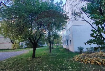Apartament de inchiriat - 13