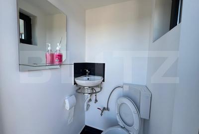 Showroom/Hala 200 mp + teren 1.000 mp - 8