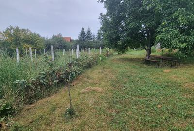 Loc de casa cartier Tulbureni - 2