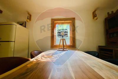 Casă de vacanță deosebită cu ciubăr si saună - natura si relaxare - 49