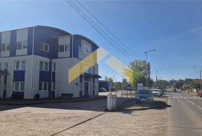 Hala industriala de vanzare in loc. Sfantul Gheorghe, jud. Covasna - 2