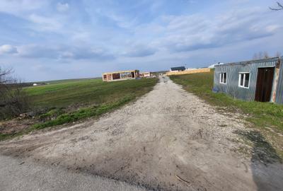 Teren intravilan situat într-o zonă superbă , vis-a-vis de Parcul Natural Comana - 6