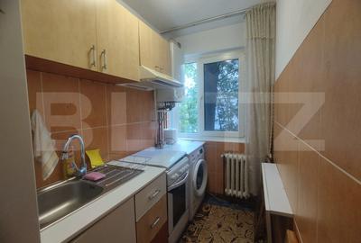 Apartament 3 camere Alexandru cel Bun - 10