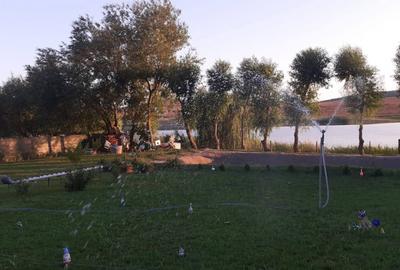 HORIA - 3 CAMERE ,SUPRAFATA 100 MP,TEREN 3000 MP CU DESCHIDERE LA LAC - 6