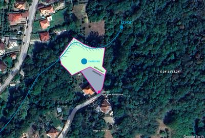 DOMENIU EXCLUSIVIST Băile Govora: 2500 mp cu Helesteu, Pârâu, Pădure, Utilități - 6