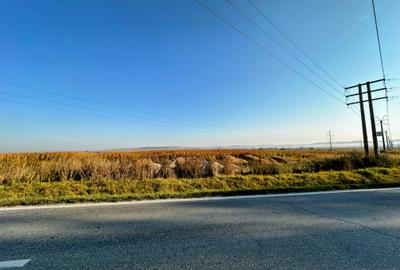 Vanzare teren 10.000mp Calea Surii Mici, direct de la proprietar! - 7