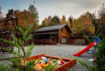 Cabană – afacere la cheie | 4 dormitoare | Piscină încălzită | Valea Ierii - 1