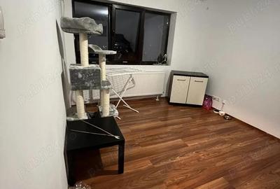 Apartament cu 2 camere semidecomandat, mobilat în Baba Novac