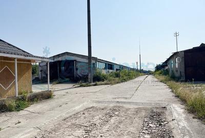 Complex industrial pe 25.659 mp teren, acces drum asfaltat, Bihor - 4