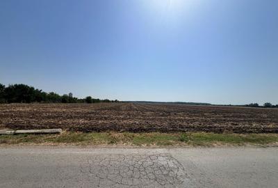 Teren de vanzare Intravilan Caciulati Autostrada A3 Drumul Teilor COMISION 0% - 10