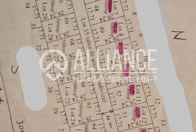 Oportunitate de Investiție (cod 12)lângă Canalul Dunăre-Mare - 1