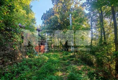 TEREN INTRAVILAN | FRATĂUȚII NOI | 1.1 HA - 13