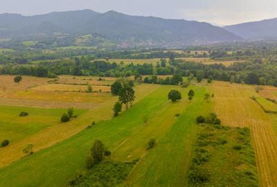Teren agricol extravilan de 8439 mp, în Șinca Nouă
