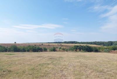 Teren 2,136mp Gradistea / Intrarea Biserica Maxineni - 1