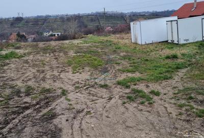Vanzare Teren intravilan 3133 mp strada Sofiei, Oradea, Bihor - Exclusivitatate - 6