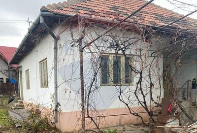 Comision 0! Casa din inima Subcarpaților — comuna Cislau, teren 5000mp - 4