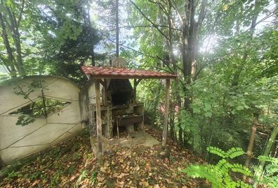 Complex turistic de vanzare  - Zona Poiana Tapului - 60