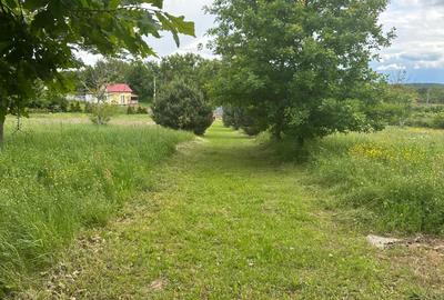 Casa Pensiune in Viile Satu Mare teren 1,63 ha, 11 camere, 10 bai - 3