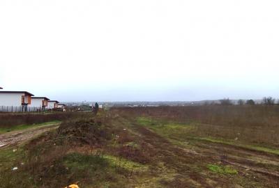 Teren Snagov Tancabesti - 3