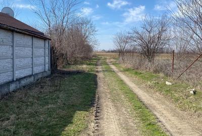 TEREN DE VANZARE-  -Plparcele de la  550 mp  zona Mega Image -Bolintin Vale - A1 - 5