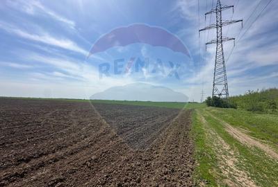 Teren 138.104 mp Dragomiresti-Vale, Ilfov, langa A0 - 4