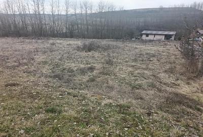 Teren intravilan, 675 mp, PUZ aprobat, front 14 ml, utilitati, Teleac - 1