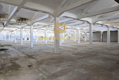 Platforma Industriala-8 ha -Fabrica-Hale Productie-21.500 mp - 12