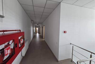 Inchiriere depozit frigorific congelare/hala/spatiu industrial Otopeni - Centura - 39