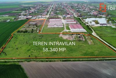 Teren intravilan cu suprafata de 58.340 mp, in Sanmartinul Sarbesc - 1