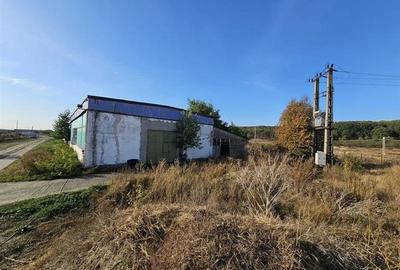 Hala industriala (1000 mp) si teren (4000 mp), Scornicesti, Trafo - 5